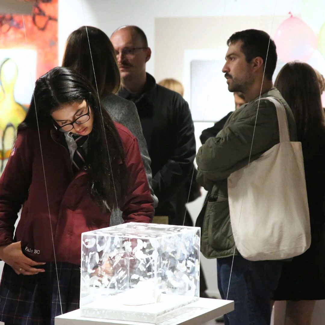 6lanzamiento-Artea-2026